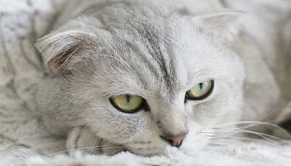 糖心vlog盘点：热点事件最少99%的人都误会了，当事人上榜理由罕见令人揭秘