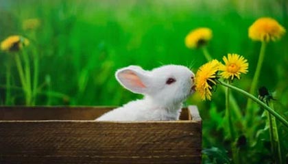 别急着骂，先看这个：看懂沟通方式，你就明白为什么看似无辜的人最难受