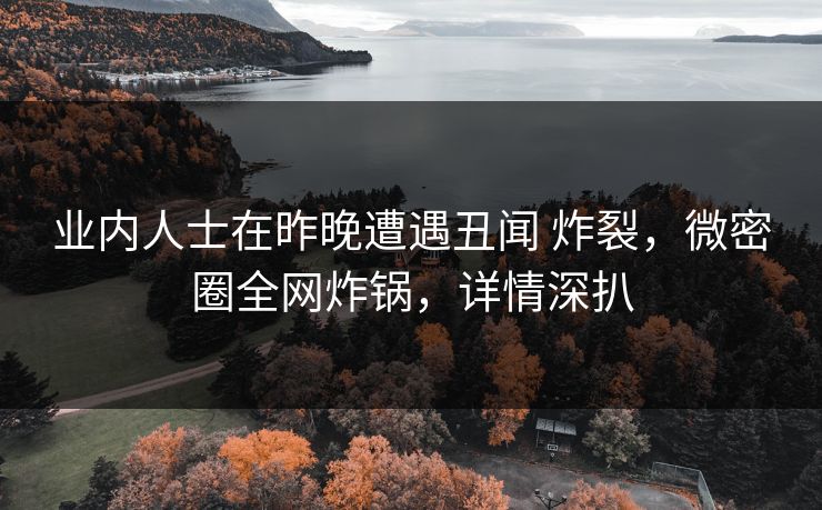 业内人士在昨晚遭遇丑闻 炸裂,微密圈全网炸锅,详情深扒