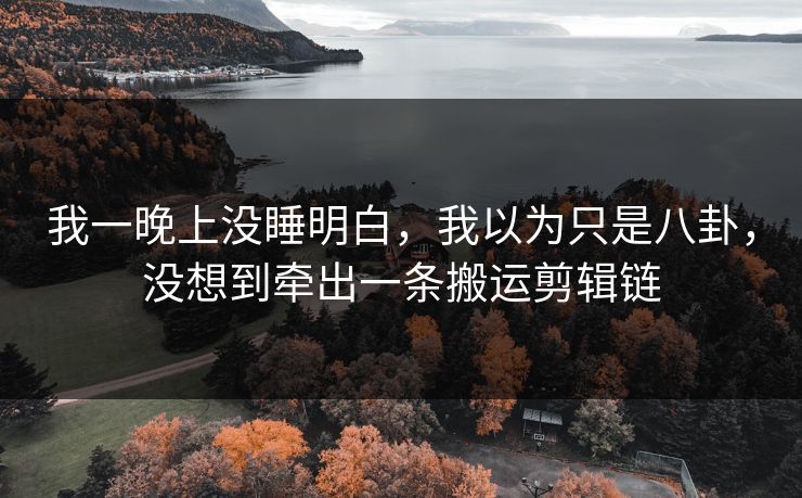我一晚上没睡明白，我以为只是八卦，没想到牵出一条搬运剪辑链