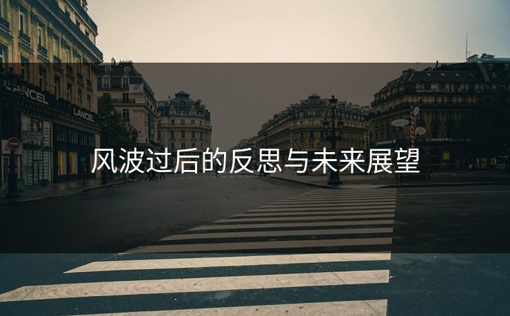 风波过后的反思与未来展望